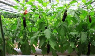 女性创业项目排行榜