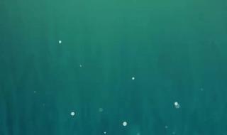 是时候放松一下 是时候放松一下