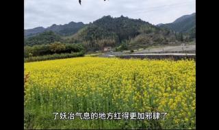 DNF红眼刷真野猪