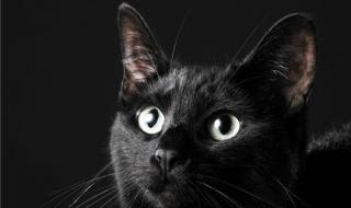 我的眼睛能透视 我的眼睛能透视