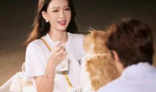 妻子的浪漫旅行第二季