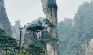 三清山巨蟒峰损毁案