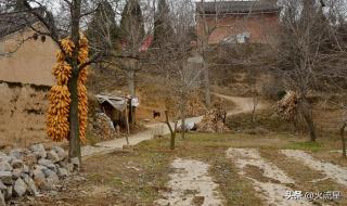 合村并镇2023最新规划 合村并镇2023最新规划