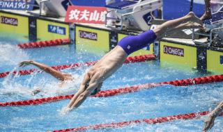 世界游泳比赛有哪些
